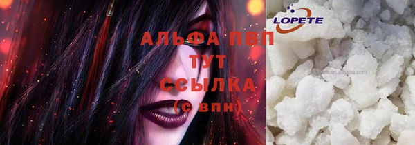 стаф Зерноград