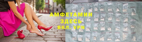 стаф Зерноград