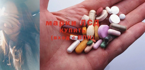 прущие грибы Иннополис