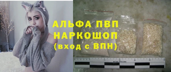 стаф Зерноград