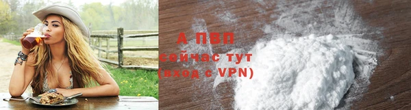 стаф Зерноград