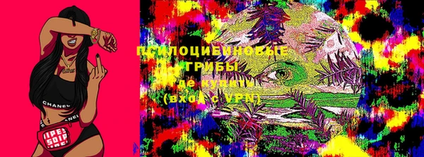 не бодяженный Инта