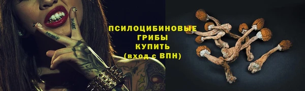 прущие грибы Иннополис