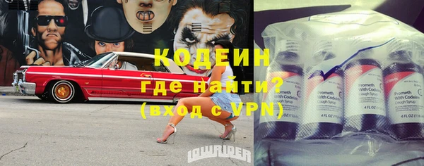 прущие грибы Иннополис