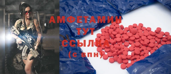 прущие грибы Иннополис