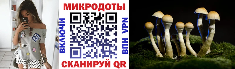 Псилоцибиновые грибы Magic Shrooms  купить   Мамоново 